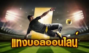 แทงบอลออนไลน์.jpg
