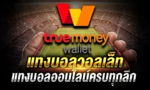 แทงบอลทรูวอลเล็ท