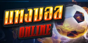 แทงบอลแจกเครดิตฟรี